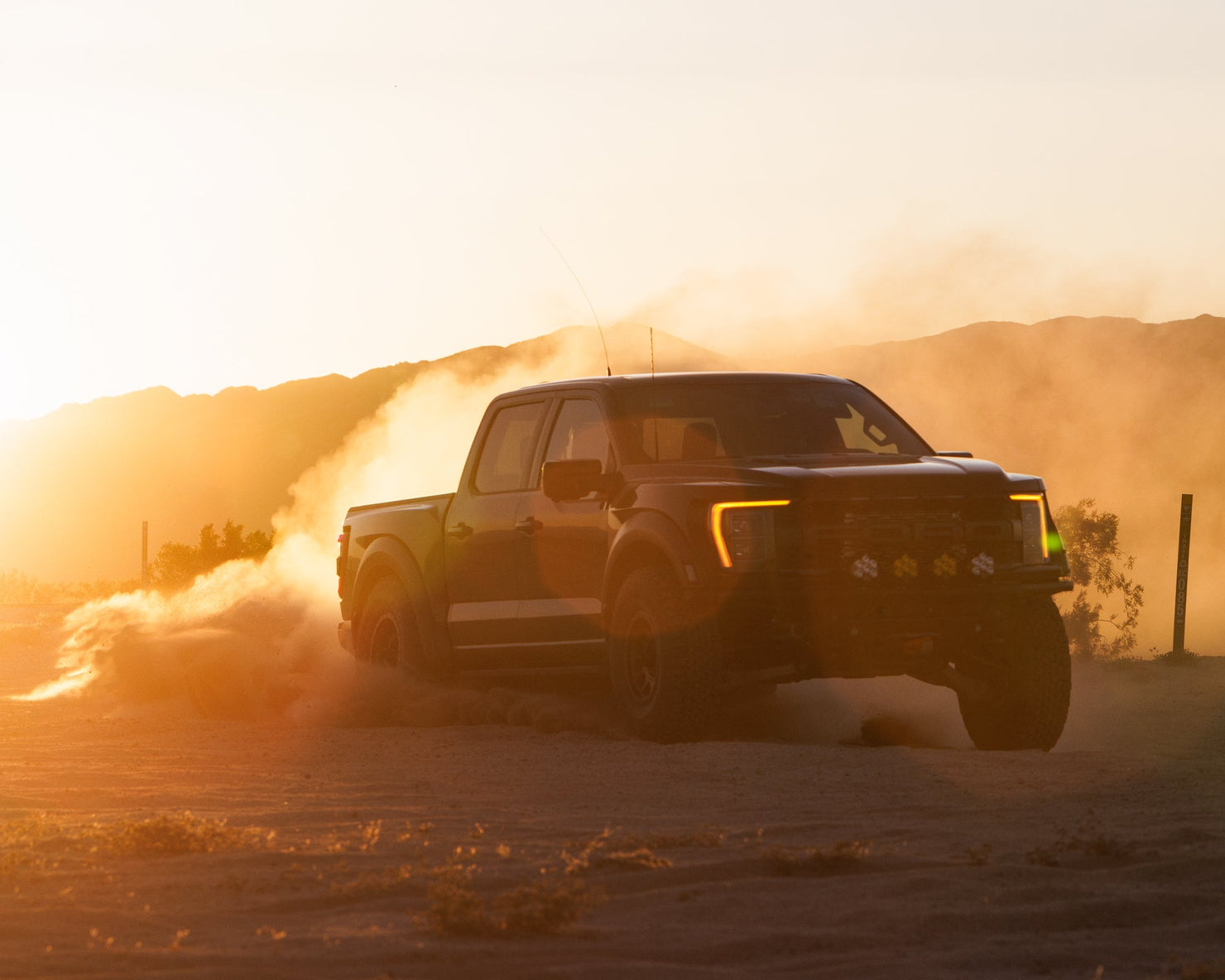 Truck Shocks